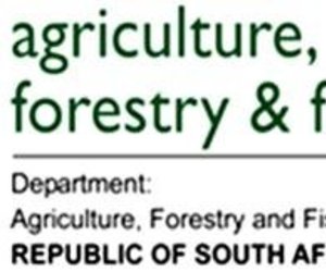 Rock Lobster Season Shortened